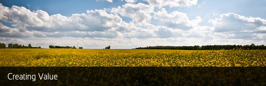 Oil seed rape field - Creating Value